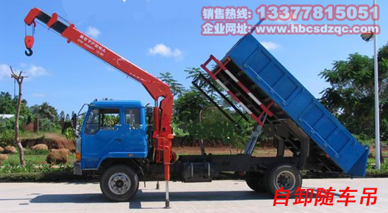 ������܇�DƬ