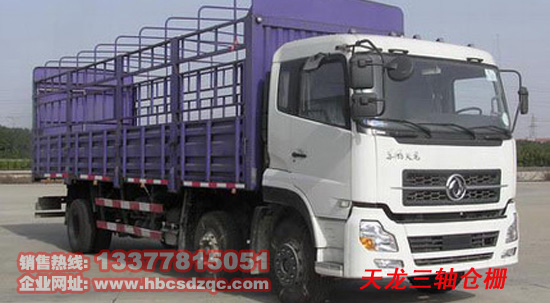 ������܇�DƬ