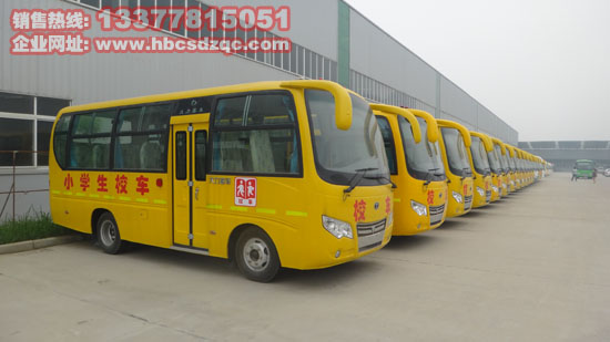 С�W�����׃��@У܇�DƬ