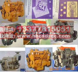 ����˹�l(f��)�әC����DƬ