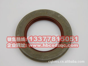 ����˹�l(f��)�әC����DƬ