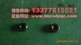 ����˹�l(f��)�әC����DƬ