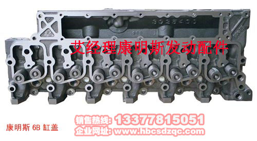 ����˹�l(f��)�әC����DƬ