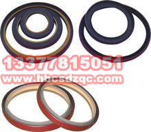 ����˹�l(f��)�әC����DƬ